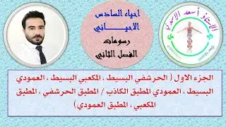 احياء السادس الاحيائي/ رسومات الانسجة الجزء الاول / الاستاذ اسعد الاسدي