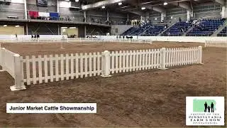 Junior Market Cattle Show
