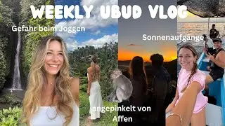 EP. 9 Angepinkelt vom Affen, Hundeangriff & 2 Uhr Vulkantour | Ubud Abenteuer 🐒✨🌴🐬