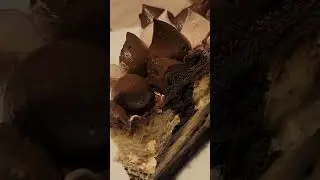 Starbucks Triple chocolate cheesecake #starbucks #starbucksph #cheesecakes #coffeelover #coffee