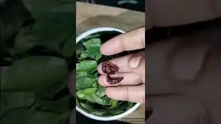 இந்த 2 பொருள் போதும் மருதாணி நல்லா சிவக்க|Homemade henna (Marudhani) with fresh henna leave #shorts