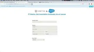 Pass translation language to your form URL - FormTitan