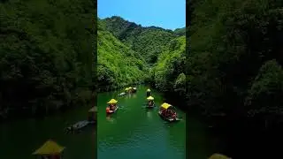 The natural beauty of China's lush green forest.#mountain #natural #beautyful #stone #thanks