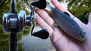 Ловля БОЛЬШОГО форелевого свимбейта на БОЛЬШОГО осеннего окуня!