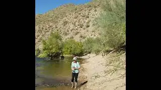 Wild horses at Salt River, AZ