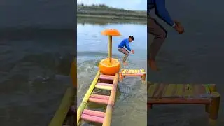 Amazing orange 🍊 and cot videography #fish #amazing #trending #videography #shorts #viral