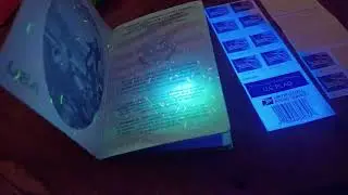 Passport UV Light (1)