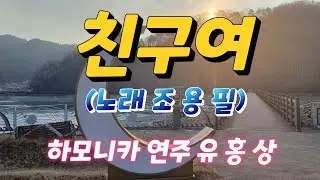 #친구여 (원곡자 조 용 필) G.G#키 #하모니카 연주 유 홍 상 #황악하모니카예술단 소속 