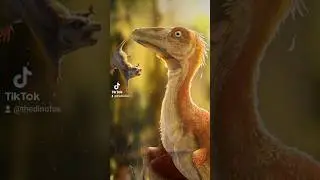 Что случилось с троодоном?