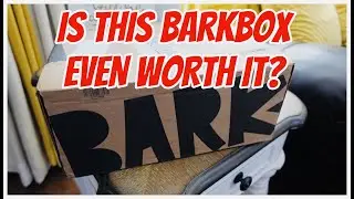 WAS THIS MONTH BARKBOX WORTH IT? JULY 2022 BARKBOX UNBOXING|| LARGE DOGS x Pool Party Animals