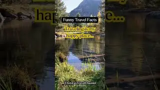 Travel Diaries: Hysterical Moments in Short Clips #shorts #funny #quotes #travel #vacation #holiday