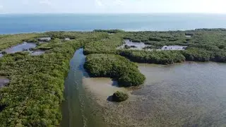 Biomas marinos | Lagunas costeras