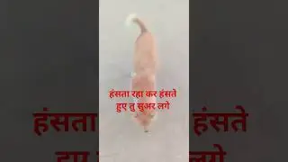 मुझे लगा तारीफ होगी #fanny #comedy #shorts video 🤣🤣