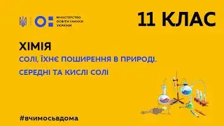 11 клас. Хімія. Солі, їхнє поширення в природі. Середні та кислі солі (Тиж.2:СР)