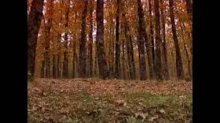 Miraflores de la Sierra del Guadarrama