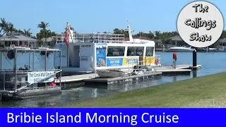 Bribie Island Morning Tea Cruise - Pumicestone Passage