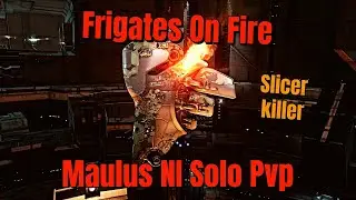 Maulus Navy Issue Solo PvP - Burning The Meta