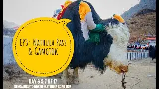 EP3: Driving Nathula Pass : Self Drive Rules & Regulations | Day 6 & 7 Bengaluru to North East India
