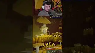 Minecraft Player Finds Vibranium in Warped Forest! (Unbelievable)
