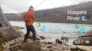 More Lakers!!! Niagara River Trout Fishing 10
