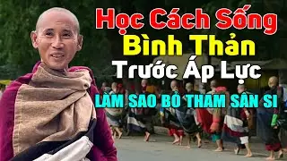 Học cách bình thản trước áp lực của cuộc sống, quá bất ngờ Thầy Minh Tuệ chỉ cách gia tăng tài sản.
