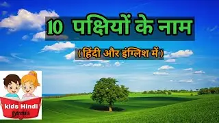 birds name, Hindi and English,kids easy learning ,name of birds @kidshindigyanmala