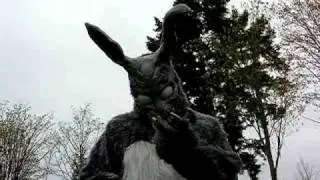 Frank the Bunny costume functionality test 02