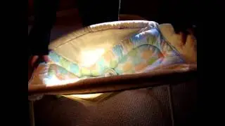 Fisher Price Rock and Play Sleeper Review