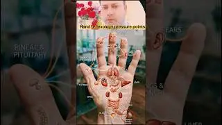Hand reflexology #TherapistworldclubDoctor #Dr.opsingh_acupointsHajipur #foryou #hand #reflexology