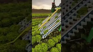 pertanian modern #farming #shorts