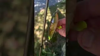 Googan Squad&rsquo;s REVOLVER Fishing Lure #fishing #bassfishing