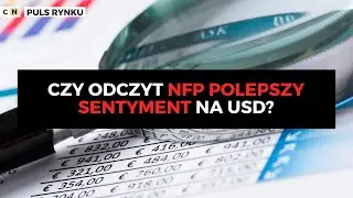 Czy odczyt NFP polepszy sentyment na USD? - Marcin Kiepas - 03 sierpnia 2020