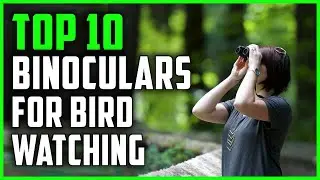 Best Binoculars for Bird Watching | Top 10 Binoculars for Birding 2023