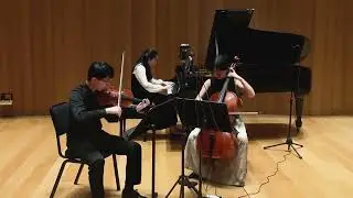 Beethoven Piano Trio Op.1 No.1 Movement 3