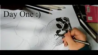 Turtle pencil drawing time-lapse