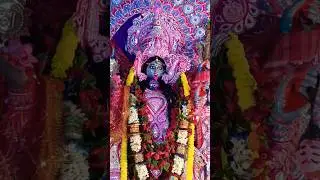 #kalipujo2023 #kalipuja #kalimaa #god #vlog #shortvideo