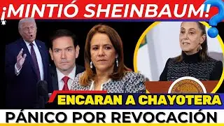 ¡SE LES CAYÓ LA MENTIRA! Sheinbaum BUSCARÁ a MARCO RUBIO. ENCARAN a chayotera. PÁNICO por REVOCACIÓN