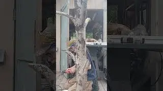 Custom Cat Tree Build -- Start to finish!