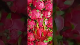 Amazing FRUIT #trending #viral #shorts #memes #funny #yummy #asmr #usa #europe #china ##canada