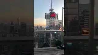 Bar 54 in New York - View