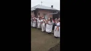 Căluți cordareni 2021
