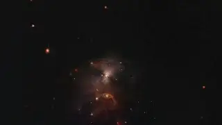 Zooming Into the Bat Shadow and its &ldquo;Flapping&rdquo;