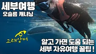 🇵🇭세부여행 ep1. 세부 자유여행 브이로그 / 블루워터 마리바고 리조트 / 오슬롭 / 이남바칸폭포 / 가와산캐녀닝 / 로컬페이지 / 세부액티비티