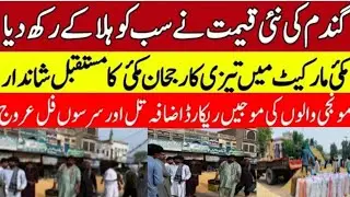 Today Wheat price in punjab//گندم کا ریٹ 2025/munji makki till sarso/Galla mandi rate today 2025