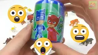 6 Surprise Eggs | Blind Bag Kinder Joy PJ Mask Yowie Mashems | Kids Learning 🎁