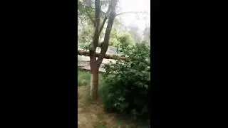 фигня🅾🅾🅾
