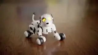 Spin Master | Fun with Spin Master!