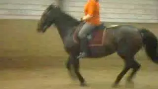 linka i galop i schenkelvigning
