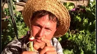 How to Use it Before You Lose it in Your Vegetable Garden