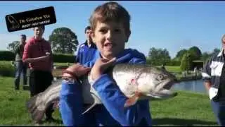 forelvijver De gouden vis - Biesthoutakker